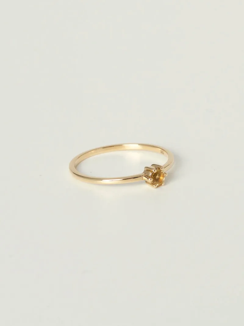 Mini Rita Ring | 14k Gold