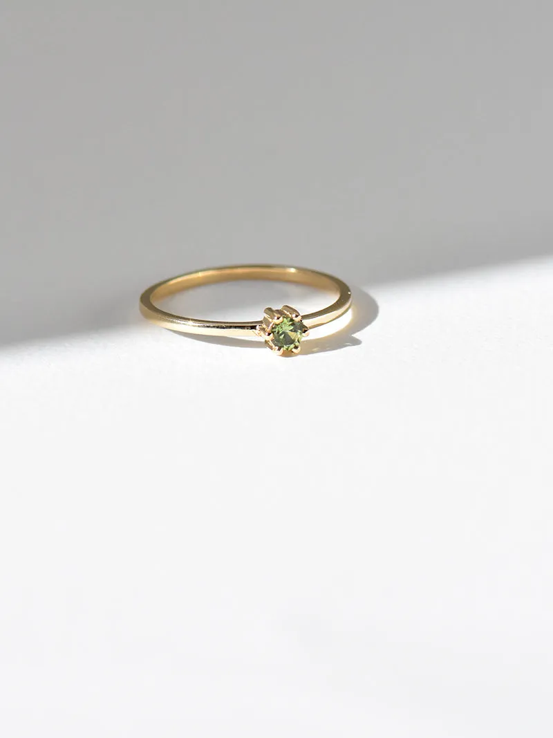 Mini Rita Ring | 14k Gold